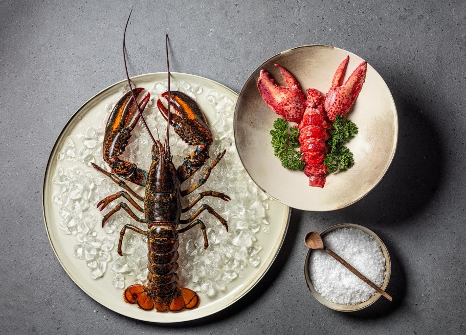 Piatto di astice su ghiaccio, piatto di astice con decorazione verde e ciotola decorativa con sale