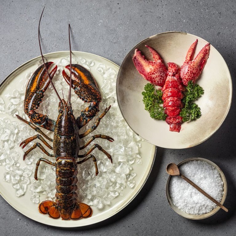 Fische und Krebse Astik und Salzdekoration